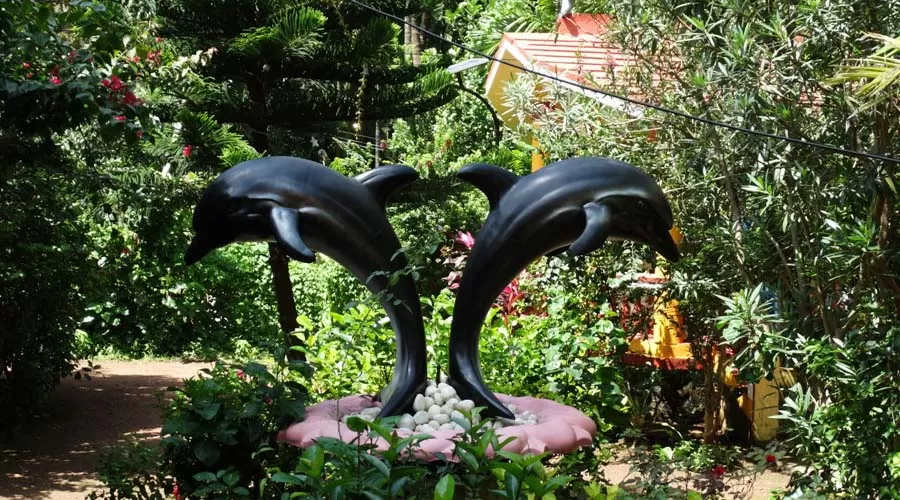 Dolphin Resort, Diveagar Photos